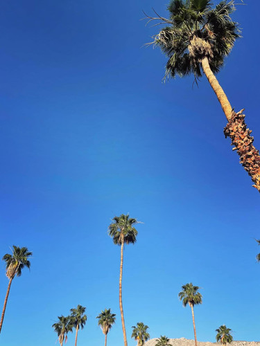 624889045 17861241042594390 8018833869657211691 n.jpg