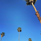 624889045 17861241042594390 8018833869657211691 n