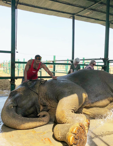 624565844 17861074536594390 1814584785540164744 n.jpg