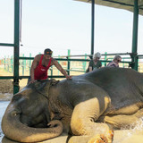 624565844 17861074536594390 1814584785540164744 n