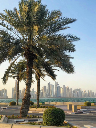 626405474 17861680020594390 4577057064647079651 n.jpg