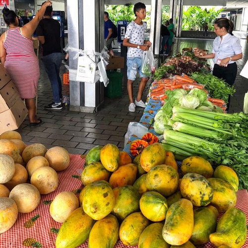 625761536 17861957670594390 7870356814695536389 n.jpg