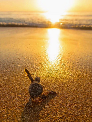 627626756 17862836829594390 1998033334304448967 n.jpg