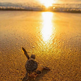 627626756 17862836829594390 1998033334304448967 n