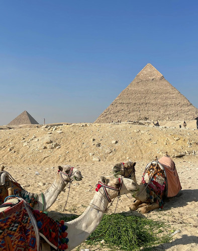 627572206 17862113520594390 8066492164079393090 n.jpg