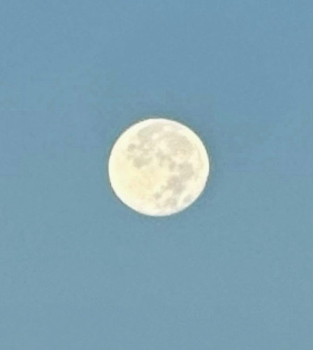 627051281 17862355188594390 7426354453455810187 n.jpg