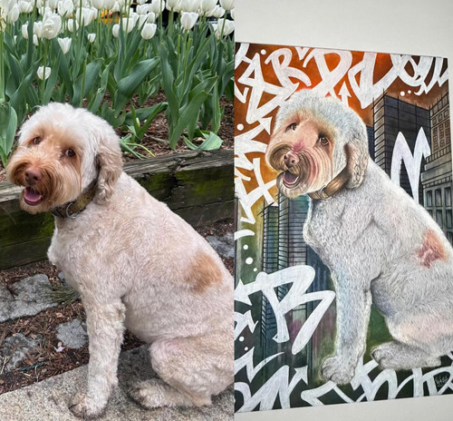 629488570 17862927333594390 7855175676159856285 n.jpg