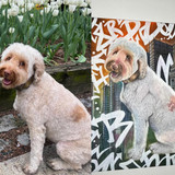 629488570 17862927333594390 7855175676159856285 n