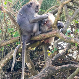 627673264 17862836895594390 3613371644547914032 n