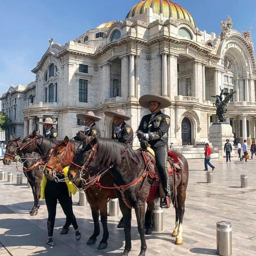 639711542 17864336814594390 5373227609794524166 n.jpg