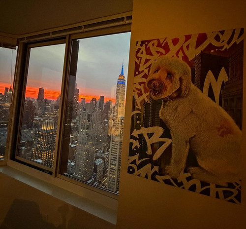 627664549 17862927360594390 5530701916582957803 n.jpg