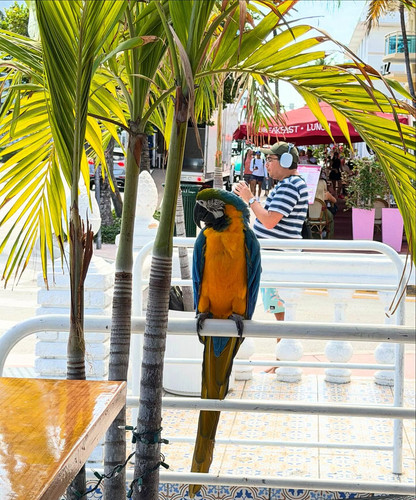 638868128 17864001525594390 3588214881346039207 n.jpg