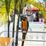 638868128 17864001525594390 3588214881346039207 n