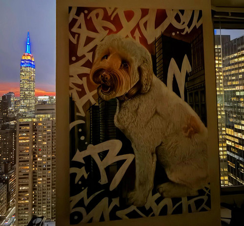 628953745 17862927342594390 6627795157454926659 n.jpg