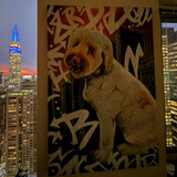 628953745 17862927342594390 6627795157454926659 n