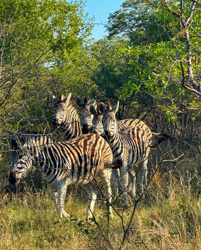 640120357 17864700822594390 340509703735270691 n.jpg