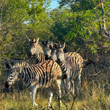 640120357 17864700822594390 340509703735270691 n