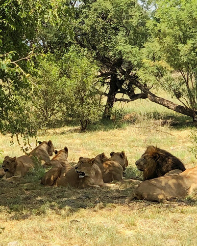 640277878 17864700699594390 6763424404748399355 n.jpg