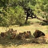 640277878 17864700699594390 6763424404748399355 n