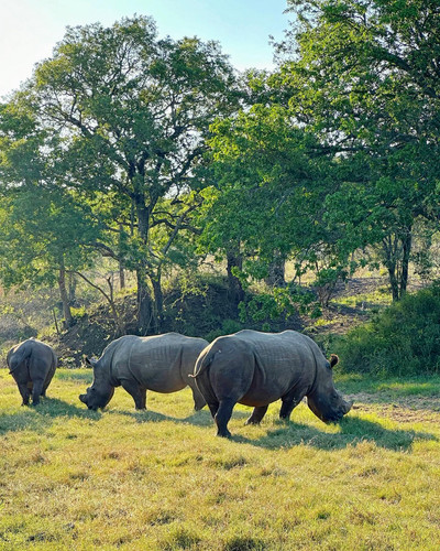 640331164 17864700804594390 2817210291184235968 n.jpg