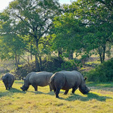 640331164 17864700804594390 2817210291184235968 n