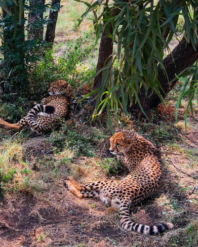 639785485 17864700678594390 168463616491256105 n.jpg