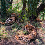 639785485 17864700678594390 168463616491256105 n