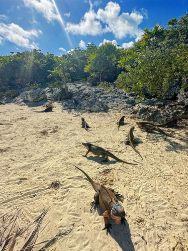 640323554 17865193809594390 1071026009166260492 n.jpg