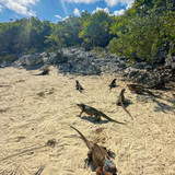 640323554 17865193809594390 1071026009166260492 n