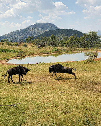 640292281 17864700666594390 2426506154687971489 n.jpg