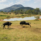 640292281 17864700666594390 2426506154687971489 n