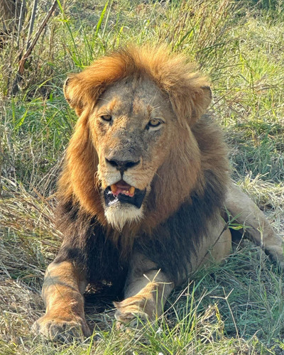 640178068 17864700708594390 5744054086554019359 n.jpg