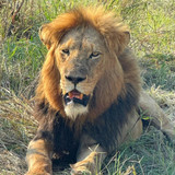 640178068 17864700708594390 5744054086554019359 n