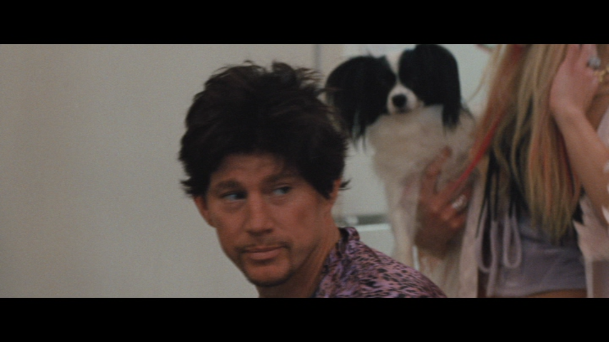 vlcsnap 2026 02 28 16h50m02s566