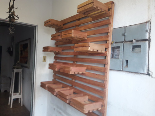 471312416 1779397186236756 4188676224234832681 n.jpg