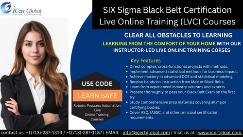 Six Sigma Black Blet.jpg