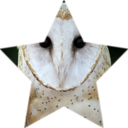 soren.png