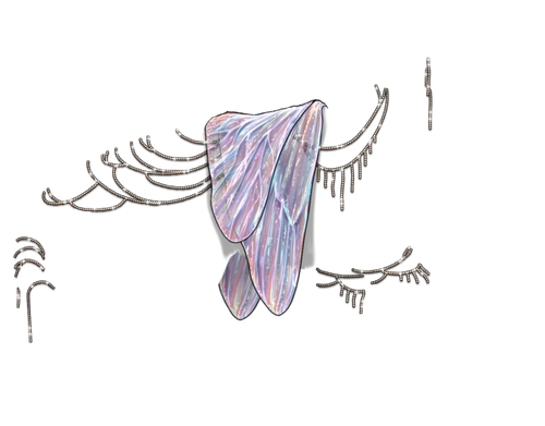 iridecent female.png