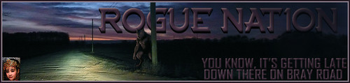 Bray Banner.jpg