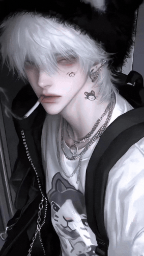 mmexport1766051040570.gif