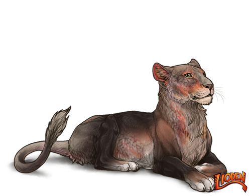 lioden wardrobe 2026 02 28T110051.661.png