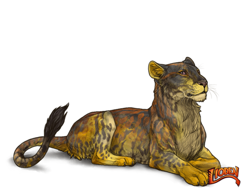 lioden wardrobe 2026 02 28T105840.433.png