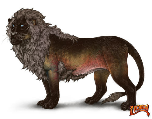 lioden wardrobe 2026 02 28T105905.375.png