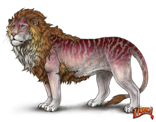 lioden wardrobe 2026 02 28T110144.686.png