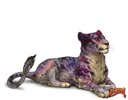 lioden wardrobe 2026 02 28T105636.576.png