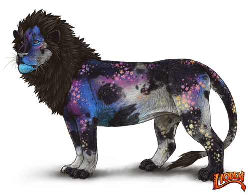 lioden wardrobe 2026 02 28T105820.828.png