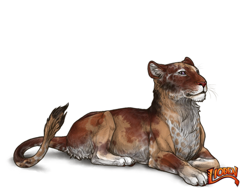 lioden wardrobe 2026 02 28T110207.330.png