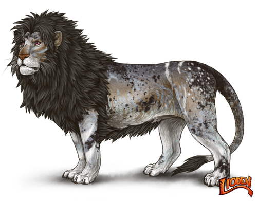 lioden wardrobe 2026 02 28T105553.436.png