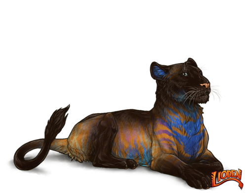 lioden wardrobe 2026 02 28T110011.455.png