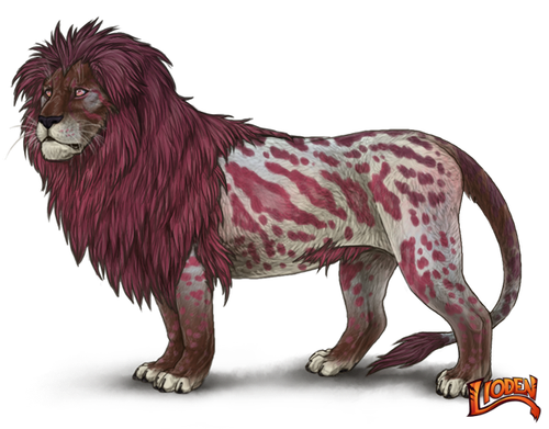 lioden wardrobe 2026 02 28T105518.811.png